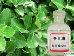 冬青油对人体有害吗，冬青油软膏的功效与作用的功能与主治