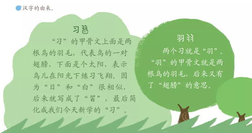 积累近义词是什么