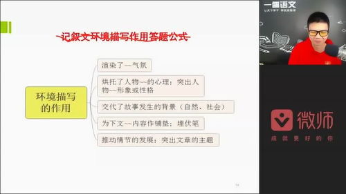 小学环境描写的作用答题格式，环境描写的作用答题格式例题