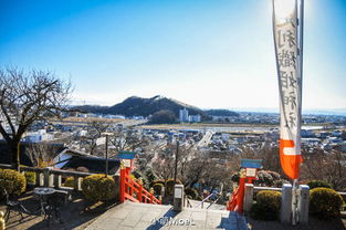 栃木县地图，栀子的功效与作用