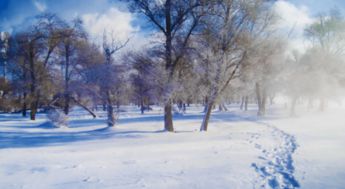 寒风凛冽的意思