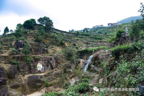 洞玄传承松岩真实姓名