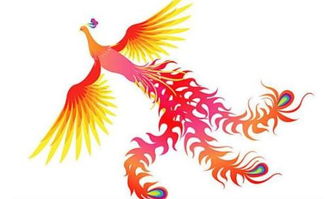 红凤凰经典绕口令