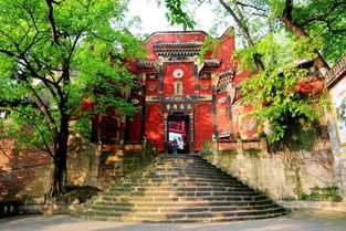 老君洞风景区在哪里，老君洞道观