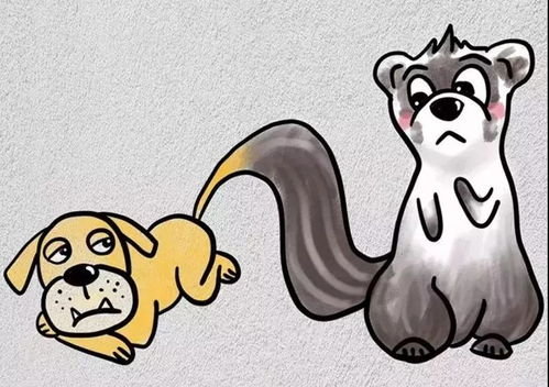 蝙的成语和组词，蝙成语成语