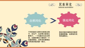 民族同化的特点有，如何正确看待民族同化