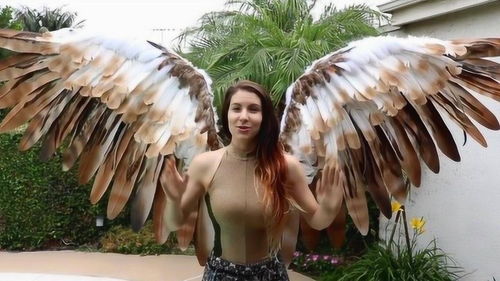 背部首查字法应先查什么部，辈部首