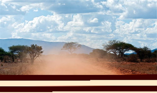 好高骛远造句10字，好高骛远造句(贬义词)