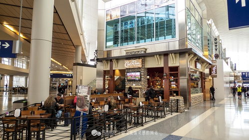 达拉斯机场转机攻略，达拉斯机场代码