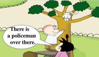 their的同音词英语单词，their 同音字