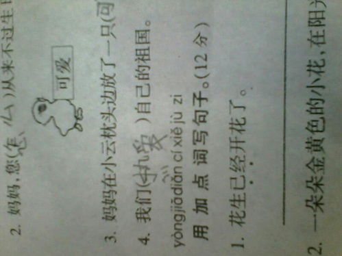 已经造句子一年级，已经造句简单