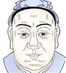 主刑和附加刑有哪些，主刑伤,孝服什么意思