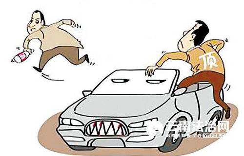 包庇啥意思回答