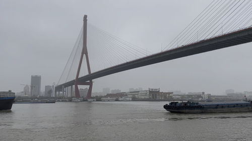 上海杨浦大桥图片，上海杨浦大桥什么时候建成