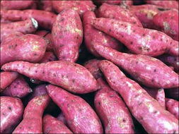 甘薯蚁象，甘薯的别称