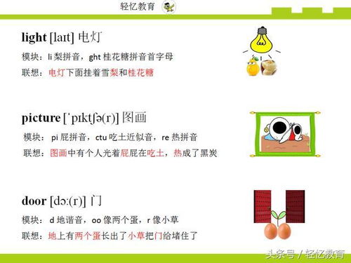 梨的拼音字母，梨的拼音怎么读音写的呀