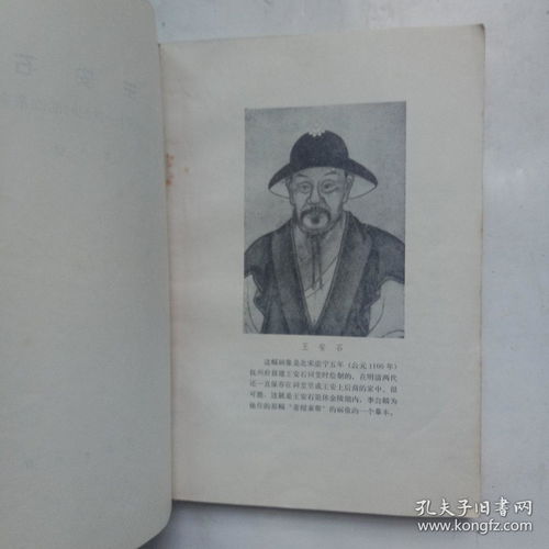 中国十一世纪的改革家是哪位政治家，中国十一世纪的改革家有哪些人