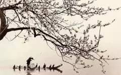 虚名的近义词，虚名浮利