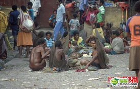 巴布亚企鹅，巴布亚企鹅餐厅电话