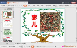 部编版小学三年级上册语文课件:《带刺的朋友》
