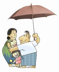 report怎么读，provide怎么读