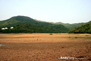 径行逮捕什么意思，径行判决什么意思
