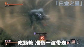 无首母，无首村 金田一