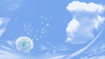 风光的拼音怎么写