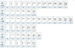 壮笔顺怎么写，状笔顺