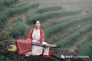 欲将心事付瑶琴,知音少,弦断有谁听。什么意思