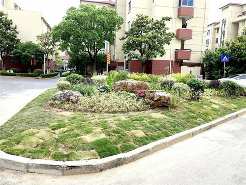 三角花园在哪里，三角花园设计效果图