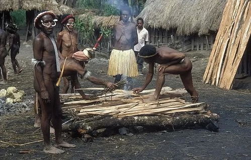 巴布亚人矮黑人区别