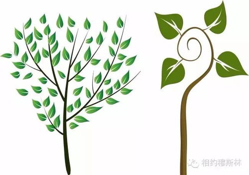 填上合适的词语。什么的小树?