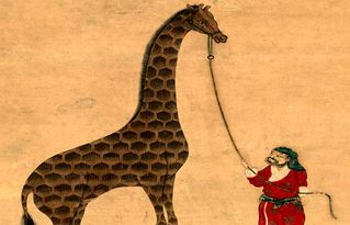 麒麟的读音麒麟的读音是什么