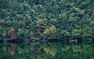 未经开化是什么意思，智商没开化是什么意思