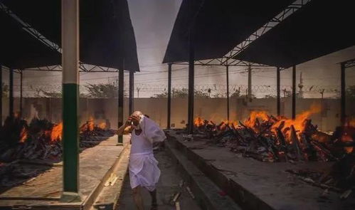 “悚然动容”中“悚然”的意思是?