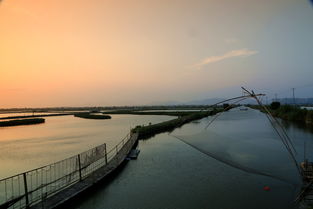 庭外盲区冉森和田洋什么关系