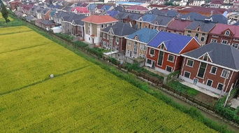 合庆镇房价，合庆镇属于哪个区