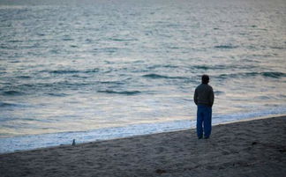 老人与海的主要内容