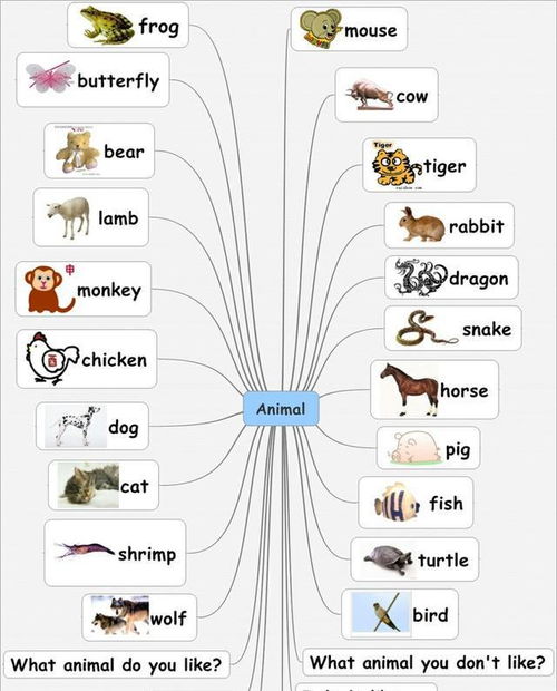小学生的思维导图怎么做