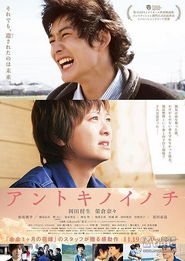 彼时是指什么时候