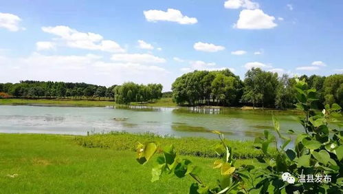 砾石流金这个成语错了么