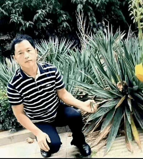 尹青羲，尹青禾谢忱策