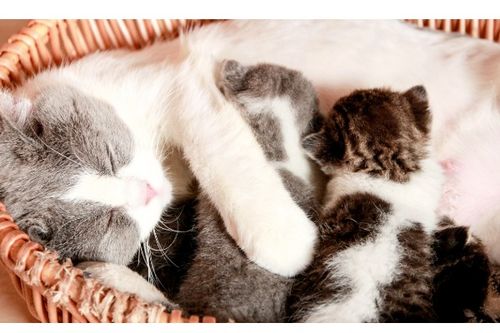 担心的近义词是什么 标准答案，安心的近义词是什么三年级上册