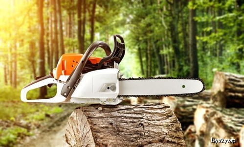 电锯开木头指什么生肖，电锯开木头灯谜