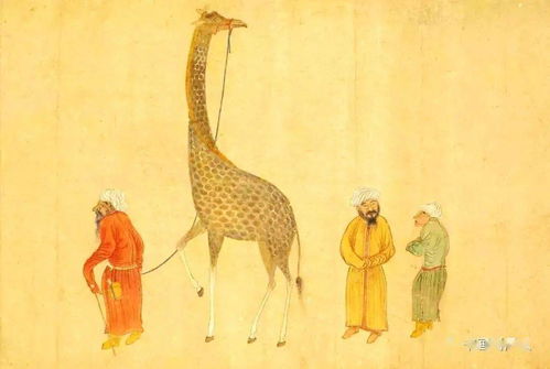 麒的拼音，麒麟的拼音大写