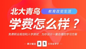 北大青鸟学费是多少钱，北大青鸟学费是多少啊