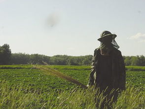 春耕夏耘秋收冬藏的意思是什么(春耕(夏耘(秋收(冬藏)