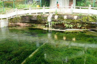 碧泉空中温泉酒店，碧泉书院