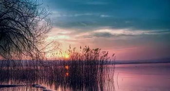 江南造船厂，江南造船厂是国企还是央企